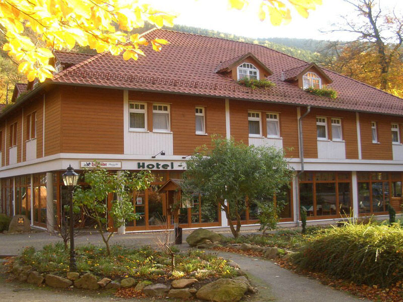 אילזנבורג Kurpark Flair Hotel Im Ilsetal מראה חיצוני תמונה